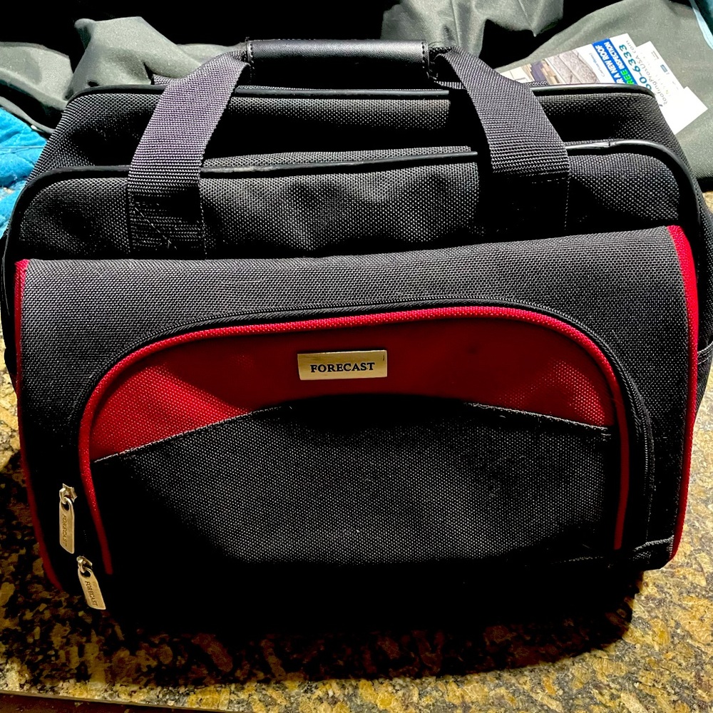COPY - Forecast Carry on bag